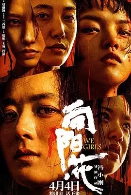 向阳·花(2025) | 小鸡影视