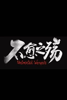 中东大宝荐2：不愈之殇(2024) | 小鸡影视