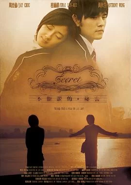 不能说的秘密(2007) | 小鸡影视