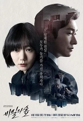 秘密森林(2017) | 小鸡影视